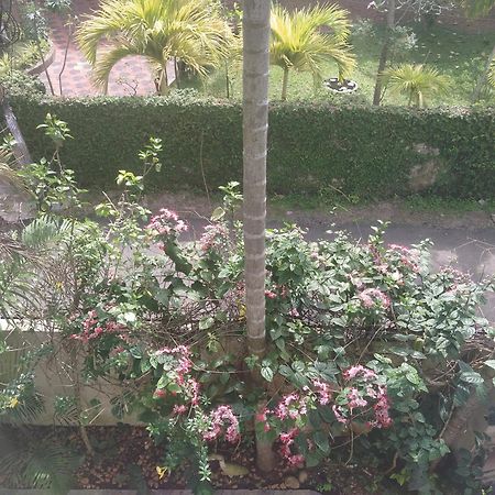 Alappuzha Paradise Inn Guest House المظهر الخارجي الصورة