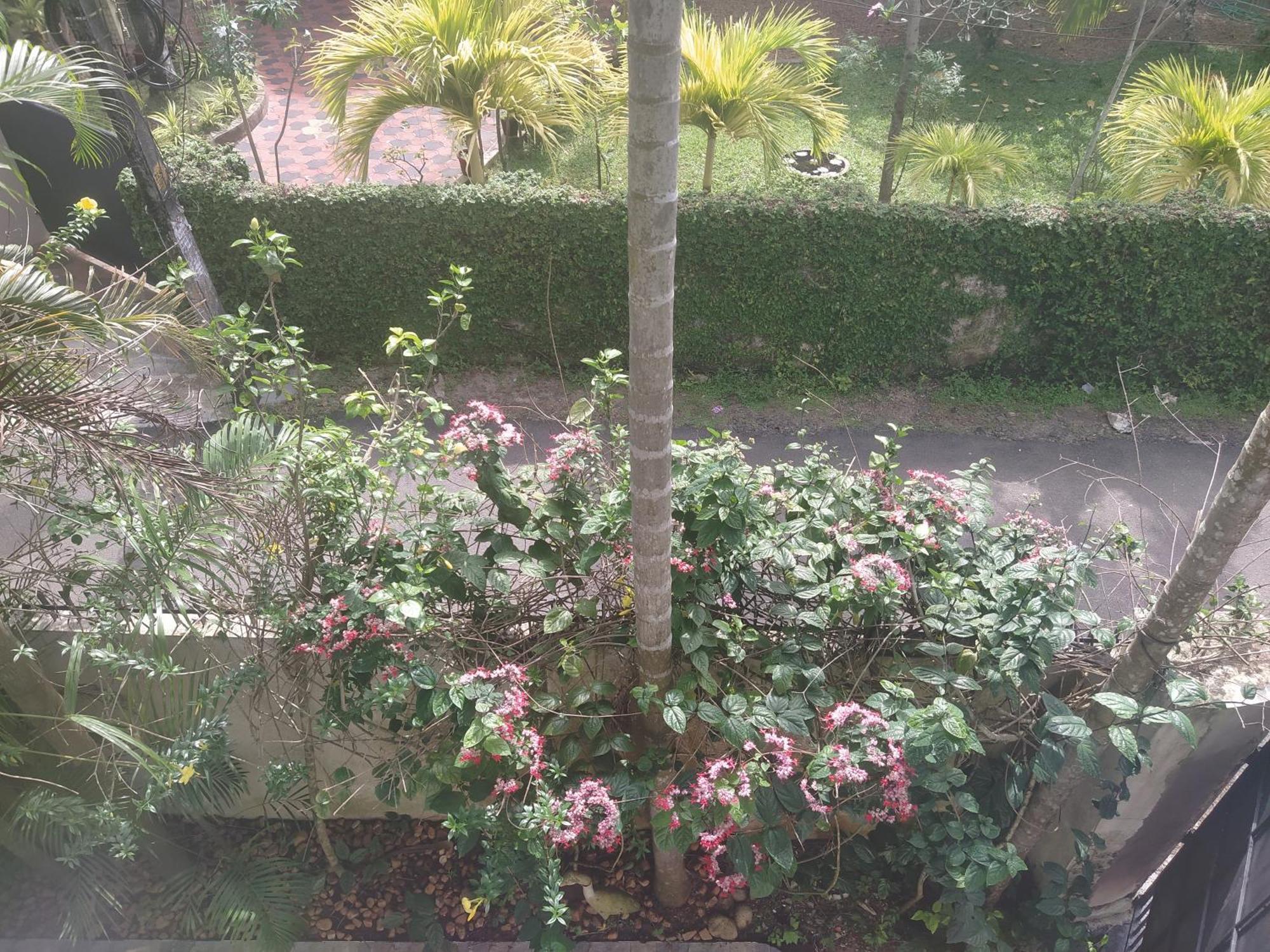 Alappuzha Paradise Inn Guest House المظهر الخارجي الصورة